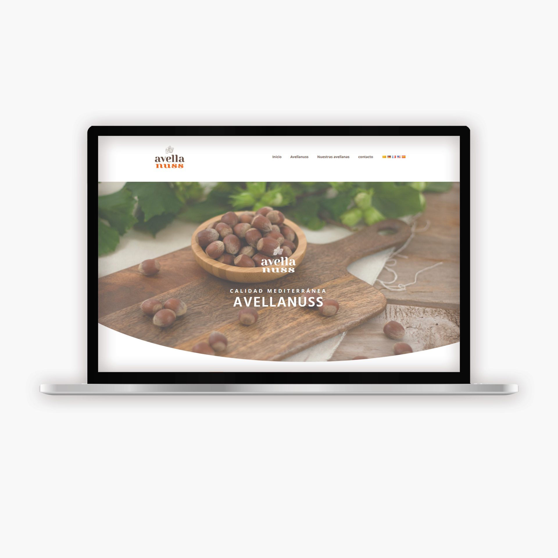mockup_WEBS_AVELLANUSSQ
