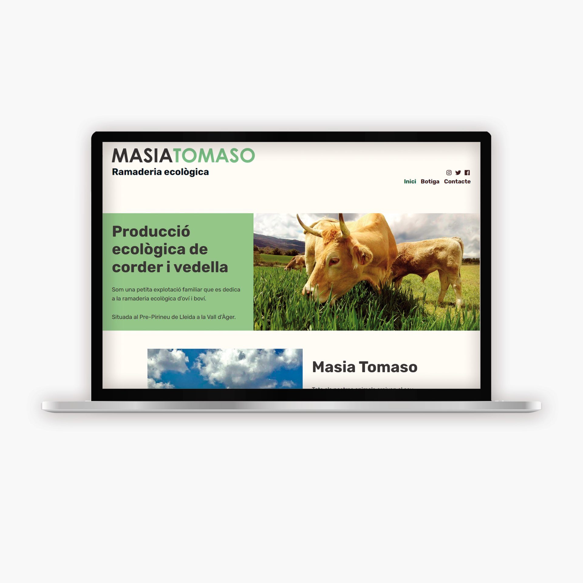 mockup_WEBS_MTOMASOQ