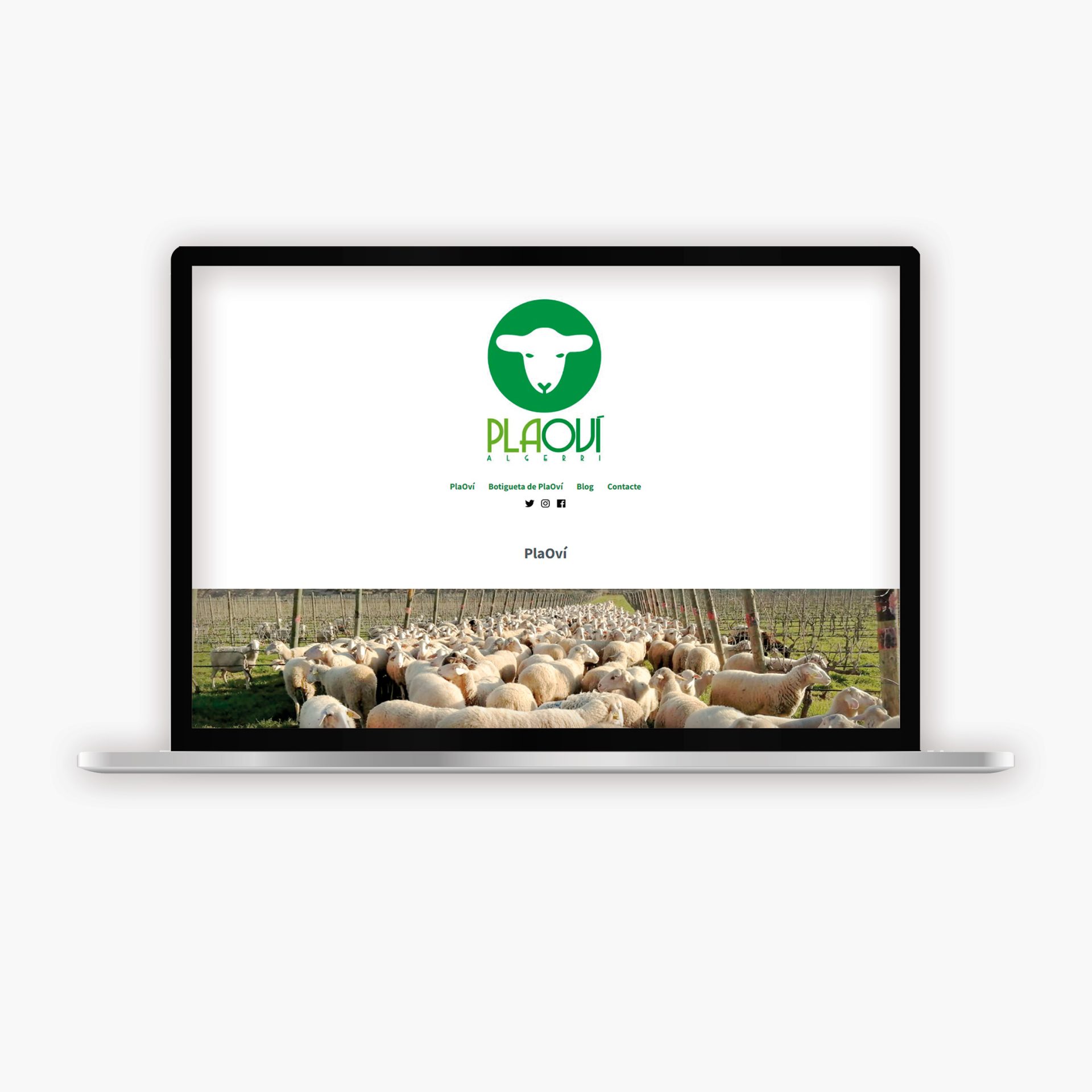 mockup_WEBS_PLAOVIQ