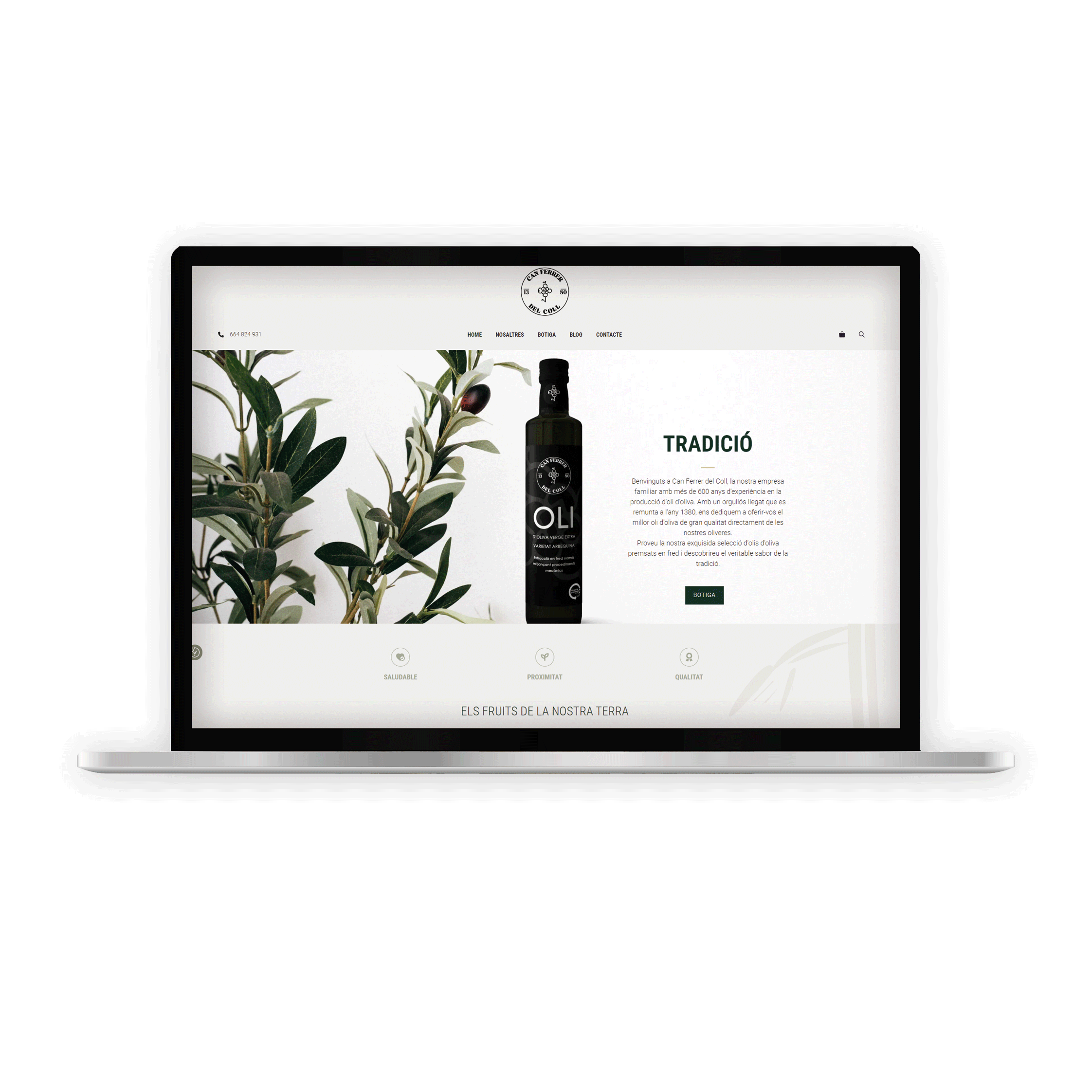 mockup_WEBS_FerrerdelColl